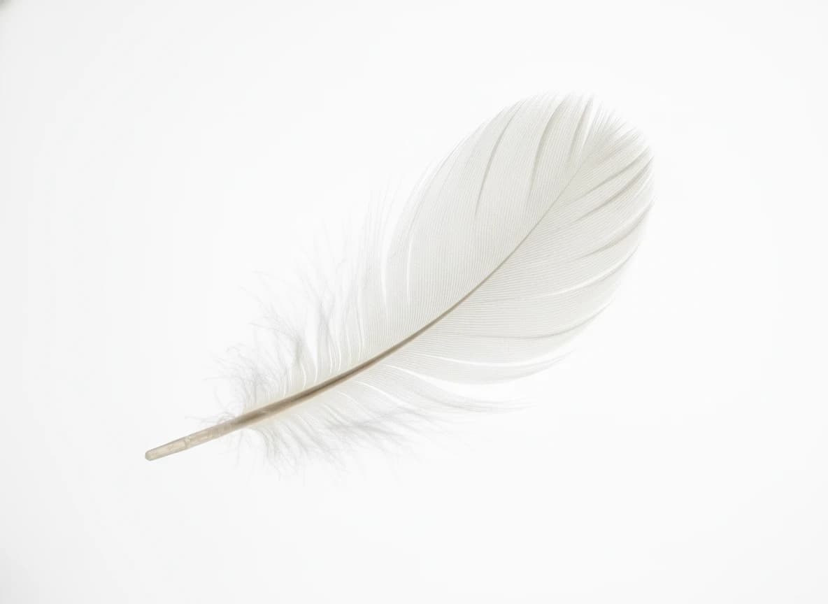 白背景で形が際立つ！ミニマルな輝き